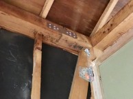 cf78541d76c2abaa96b14171af523487